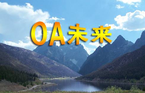 專家分析OA辦公系統(tǒng)未來(lái)發(fā)展方向